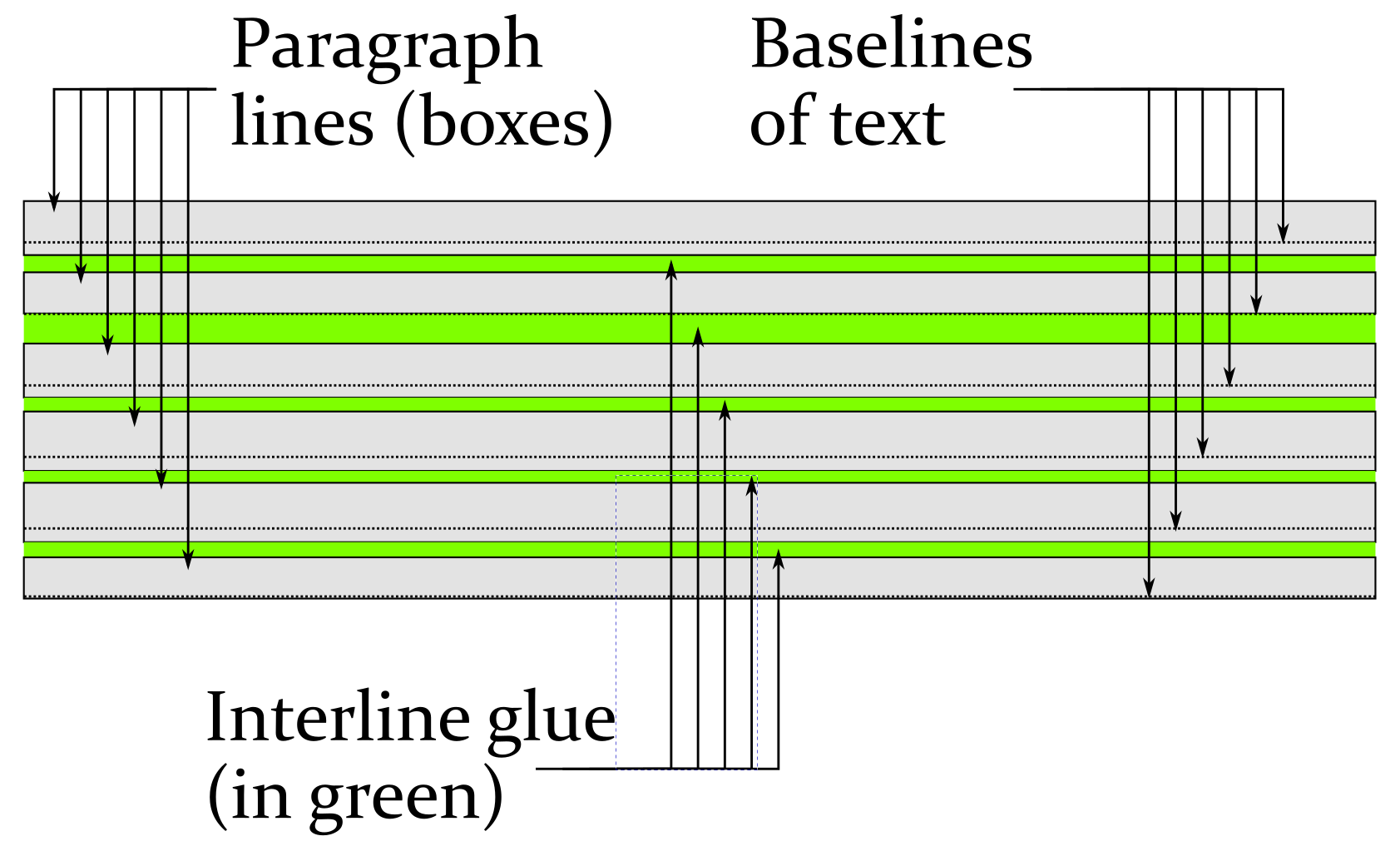 Paragraphanatomy2b.png