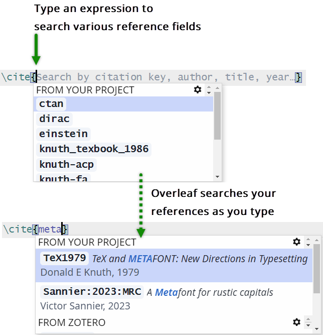 Image demonstrating the use of Overleaf's advanced reference search.